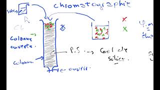 principe de séparation chromatographique 01 [upl. by Nirac958]