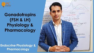 Endocrine Hormones part 7 Gonadotropins Hormones FSH amp LH Physiology amp Pharmacology [upl. by Froma]