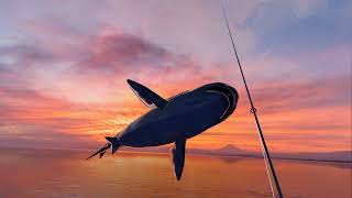 Real VR Fishing RVRF Shark Code [upl. by Dona]