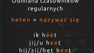 ✅ Niderlandzki dla początkujących ✅ 10 ważnych czasowników  odmiana [upl. by Nitsirk]