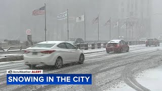 Snow blankets Chicago suburbs [upl. by Palermo]