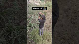 Nikon z50 outdoor photoshoot shorts photography swapnilphotography4 youtubeshorts [upl. by Bergman]