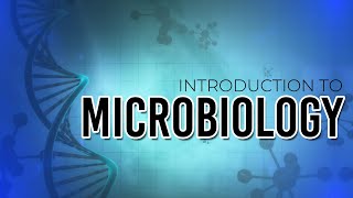 INTRODUCTION TO MICROBIOLOGY [upl. by Nelac]