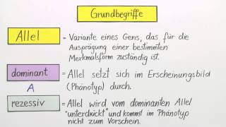 Erbgänge dominantrezessiv intermediär und kodominant  Biologie  Genetik [upl. by Lampert682]