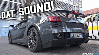 BEST Sounding V10 Lamborghini EVER Made  2008 Lamborghini Gallardo Superleggera [upl. by Assitruc955]