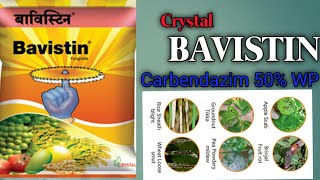 Crystal వారి BAVISTIN a systemic fungicide Carbendazim 50 WP best Fungicides for all crops [upl. by Aksoyn105]