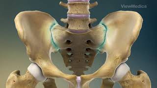 Sacroiliac Joint Steroid Injection  Pain amp Wellness Centers of Southern California [upl. by Ten147]