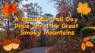 A Beautiful Fall Day Drive Thru the Great Smoky Mountains fallcolors tennessee [upl. by Ainex]