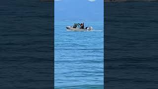 Boulder Bank scenic Reserve New Zealand  fishing [upl. by Annaohj803]