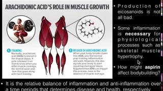 PUFAs Basics of Arachidonic Acid and its Metabolism [upl. by Flin]