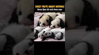 Top 10 Crazy Facts About Animals🐼  Animal Facts in Hindi shorts [upl. by Prochora]