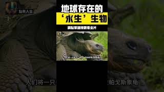 地球上最驚人的5種長壽動物！第一名竟可以打破時間限制，擁有“不死之身”，刷新你對生命極限的認知！ 科普 動物壽命 探索地球 [upl. by Emolas]