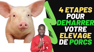 4 ETAPES pour COMMENCER votre élevage de PORCS en Afrique comment commencer un ELEVAGE DE PORCS [upl. by Nnaeirb]