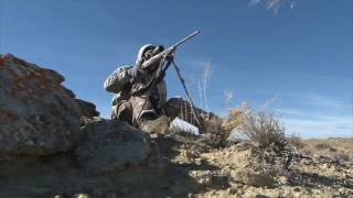 Coyote Hunting With Live Cottontail Coyote Decoy Calling With a Diaphragm Call [upl. by Anyela]