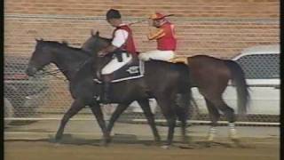 Real Quiet Preakness Stakes 1998  Extended PostRace Coverage [upl. by Tizes]