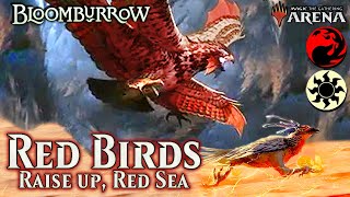 The Red Birds have arrived  Bloomburrow Standard Ranked [upl. by Einor310]