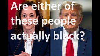 Is it racist to remark out loud that Kamala Harris isn’t really black [upl. by Llatsyrc738]