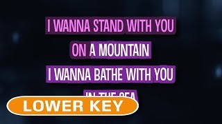 Truly Madly Deeply Karaoke Lower Key  Cascada [upl. by Broek213]