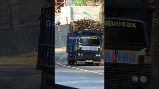 Truk Omplong Sampai Ngebulngebul Di Jalur Menanjak Lahor [upl. by Jemy357]