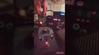 EQD Plumes Small Signal Shredder pedal driving the Korg Volca NuBass [upl. by Melodee770]