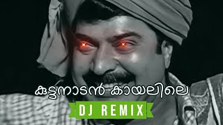 Kuttanadan Kaayalile  Kaazcha DJ VTKZ Remix • Malayalam Remix 2023 [upl. by Urbani647]