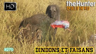 THE HUNTER CALL OF THE WILD 270 UNE NOUVELLE CHASSE AUX DINDONS ET FAISANS SUR RANCHO DEL ARROYO [upl. by Iolande]