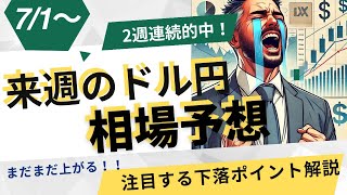 71～ 来週のドル円相場予想 まだまだ上がる！為替介入注目ポイント解説 [upl. by Ahseena]