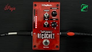 DigiTech Whammy Ricochet  demo reamping test [upl. by Arodnap]