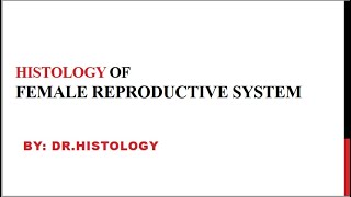 Histology of Female reproductive system Part 1 Ovary  Oviduct  Uterus  Vagina [upl. by Xylina]