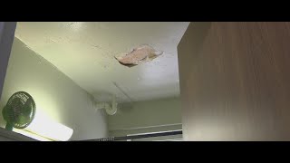 Leak in NYCHA apartment ruined a Harlem mothers holiday season [upl. by Anhej]