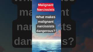 Inside the Mind of a Narcissist 🤯  Psychology Explained facts psychology musicalhealing [upl. by Ilonka]