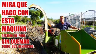 ASI LO HAGO YO⚠️  PODA🌱🌳  TRANSFORMA UN PROBLEMA EN UNA SOLUCION 👍👍👍 [upl. by Cirdet]