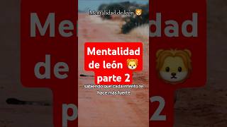 Como tener Mentalidad de un león 🦁 2 desarrollo inspiration motivation motivationalvideo short [upl. by Ialohcin879]