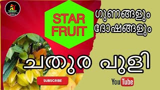 ചതുര പുളി  STAR FRUIT [upl. by Ardnued722]