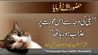 Muhammad Raza SaQib Mustafai  HUZOOR Ne Farmaya Billi Ki Waja Se Is Orat Pr Azaab Ho Raha Tha [upl. by Elehcin]