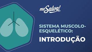 Sistema musculoesquelético – Introdução  Anatomia Humana Básica  Me Salva Saúde [upl. by Rosabel14]