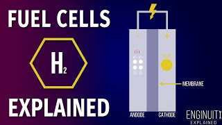 Hydrogen Fuel Cell How It Works [upl. by Retsam666]