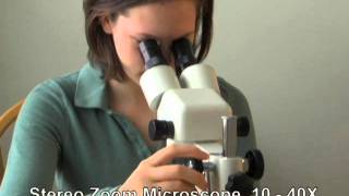 Learning about Stereo Microscopes [upl. by Urian25]