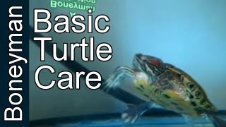 Turtle Care For Beginners The Basic Enclosure [upl. by Anaher]