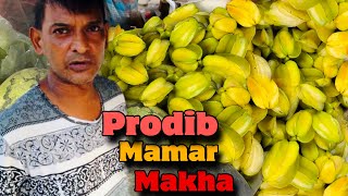 Tasty Masala Star Fruit  Star fruit  Kamranga Makha  Foodie Vai  street food [upl. by Aiseneg374]