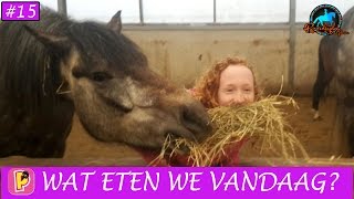 Wat eten paarden  Paard en paardrijden [upl. by Inihor]