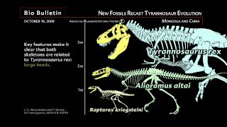 Dinosaurs Evolution part 22 shorts dino jurassicworld jurassicpark prehistoricplanet paleo [upl. by Nolie637]