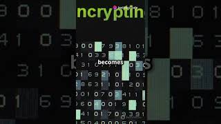 Build a Simple Encryption amp Decryption System with Caesar Cipher 🔐  Coding Challenge coding [upl. by Adaline]