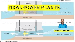 Tidal Power Plant Working  Types  Fixed Dome  Floating Dome  Renewable Energy  Telugu Lecture [upl. by Marchal248]