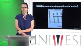 Zoologia de Invertebrados  Aula 9  Filo Gnathostomulida e Rotifera [upl. by Krishnah]