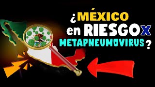 ALERTA ⚠️ ¿MÉXICO EN RIESGO POR METAPNEUMOVIRUS [upl. by Cogen33]