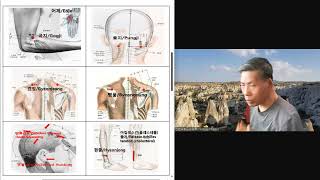 동맥경화 치유  Healing of arteriosclerosis [upl. by Elleinwad]