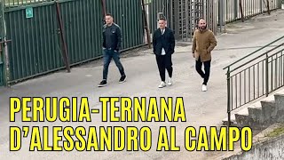 👀 PerugiaTernana primo allenamento delle Fere sotto lo sguardo del presidente dalessandro [upl. by Lindbom285]