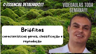 Briófitas caracteres gerais classificação e reprodução O essencial para ENEM e vestibulares [upl. by Eadwina]