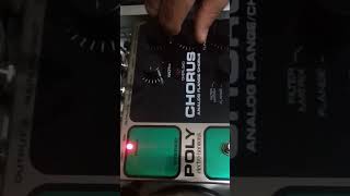 Electro Harmonix Poly Chorus test shorts electroharmonix [upl. by Melisse834]